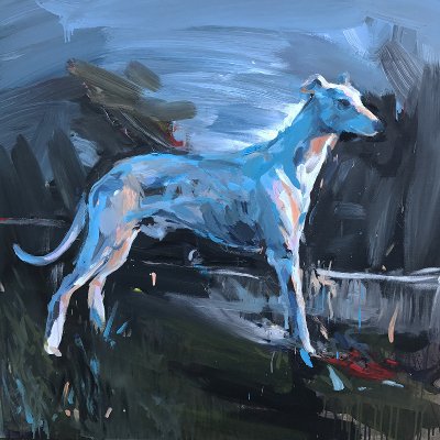 Greyhound
